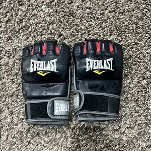Everlast Black and Red Boxing Gloves